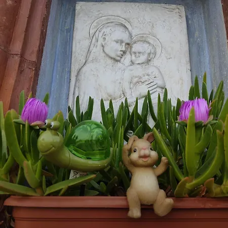 Gasthof Night & Day Di Laura Patuelli Cotignola