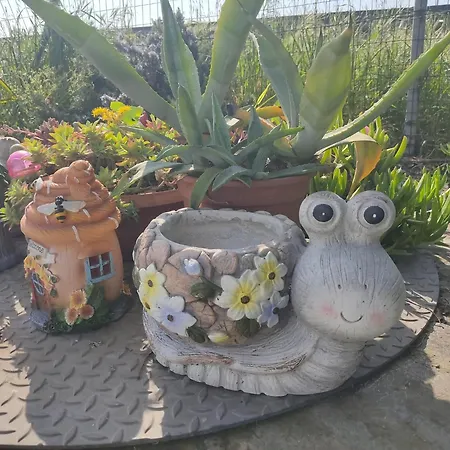 Night & Day Di Laura Patuelli Gasthof Cotignola