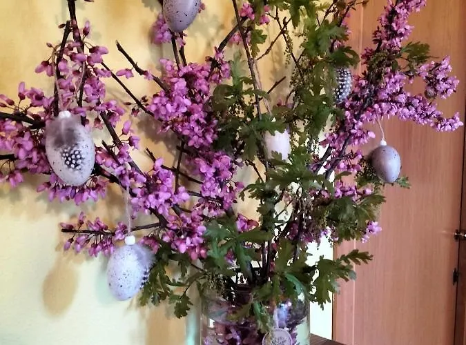 Gasthof Night & Day Di Laura Patuelli Cotignola