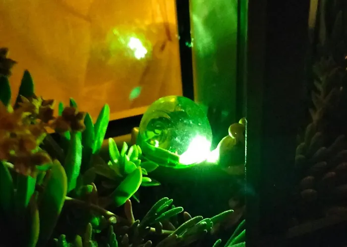 Night & Day Di Laura Patuelli Cotignola