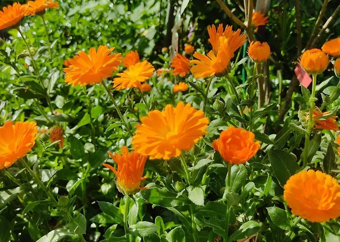 Night & Day Di Laura Patuelli 3*