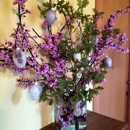 Casa de hóspedes Night & Day Di Laura Patuelli Cotignola