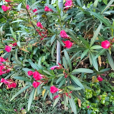 Night & Day Di Laura Patuelli Casa de hóspedes