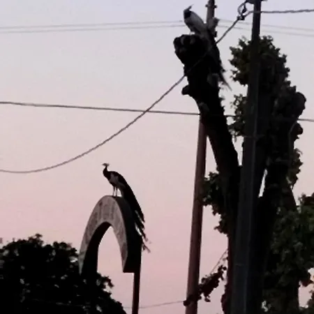 Night & Day Di Laura Patuelli בית הארחה