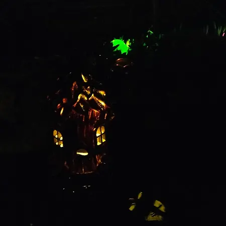 Night & Day Di Laura Patuelli 3* Cotignola