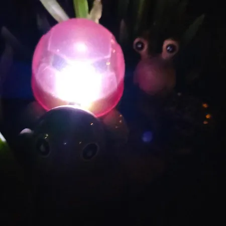 Night & Day Di Laura Patuelli 3*