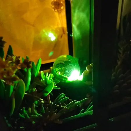 Night & Day Di Laura Patuelli Cotignola