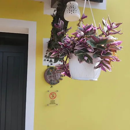 Casa de hóspedes Night & Day Di Laura Patuelli