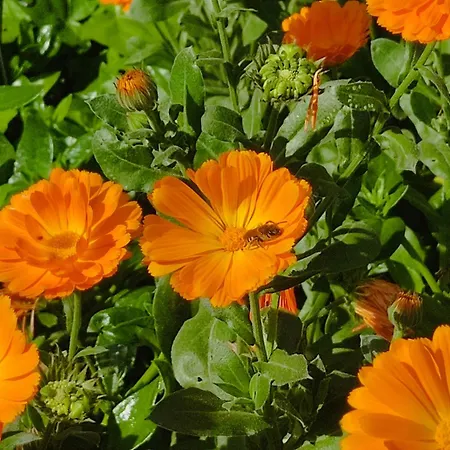 Night & Day Di Laura Patuelli Pensjonat 3*