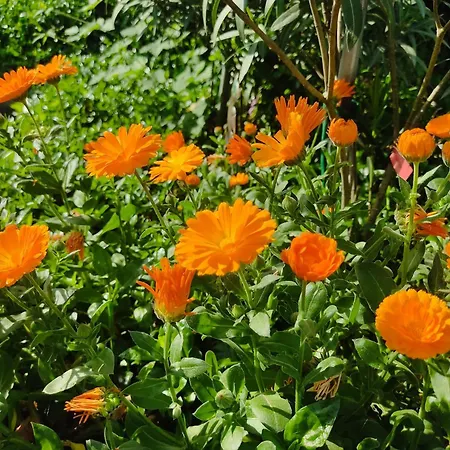 Night & Day Di Laura Patuelli 3*