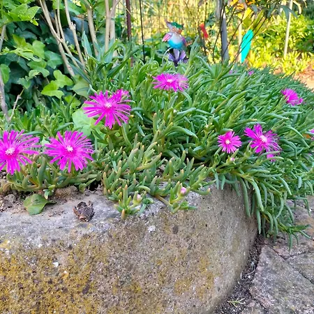 Night & Day Di Laura Patuelli Casa de hóspedes