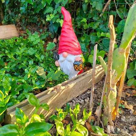 Casa de hóspedes Night & Day Di Laura Patuelli Cotignola