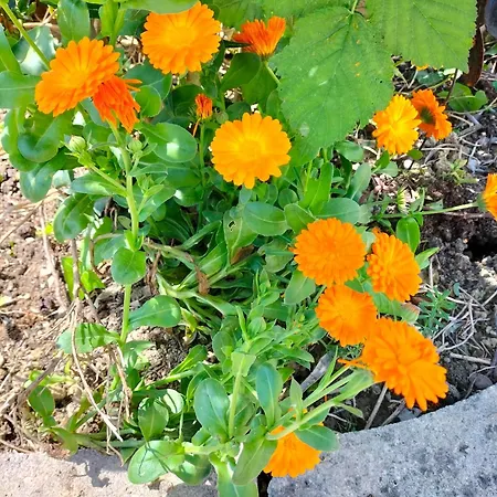 Night & Day Di Laura Patuelli