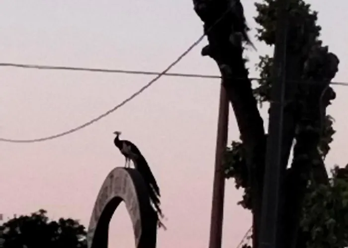 Night & Day Di Laura Patuelli Pensjonat