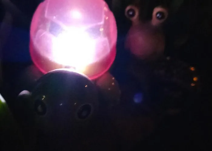 Night & Day Di Laura Patuelli 3*