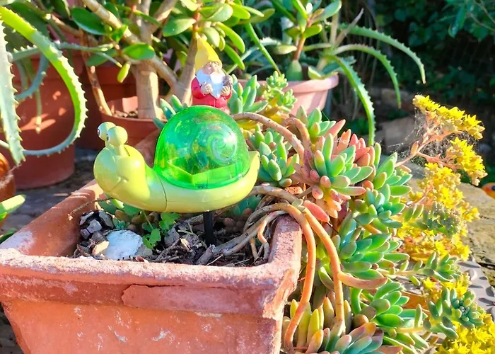 Night & Day Di Laura Patuelli 3*