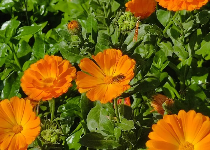 Night & Day Di Laura Patuelli Konukevi 3*