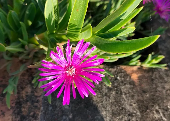 Night & Day Di Laura Patuelli