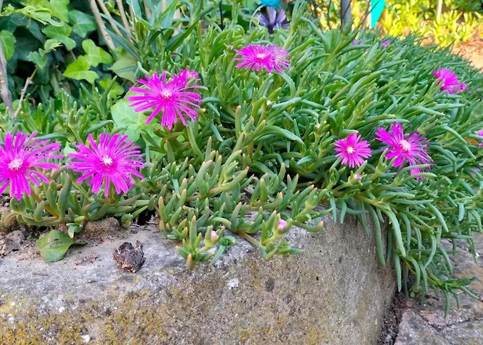 Night & Day Di Laura Patuelli Pensjonat