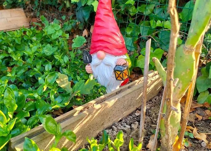 Pensjonat Night & Day Di Laura Patuelli Cotignola