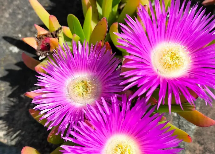 Night & Day Di Laura Patuelli Pensjonat Cotignola