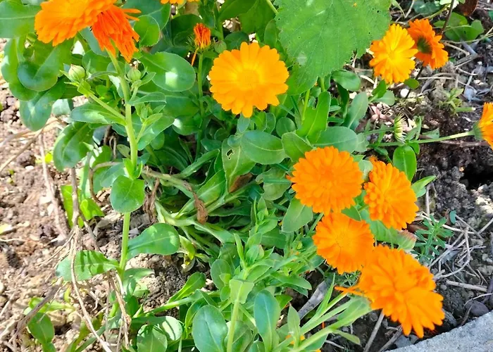 Night & Day Di Laura Patuelli